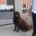 Caso #2536