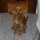 Caso #2831